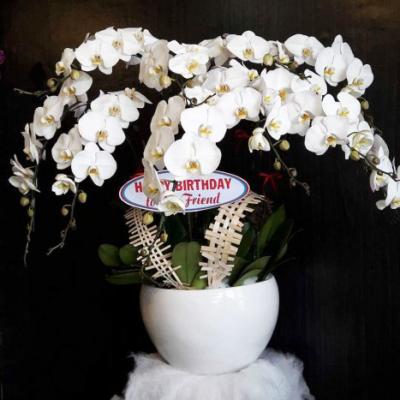 Hoa lan tặng sinh nhật sang trọng tại Hoa tươi Trần Hưng Đạo