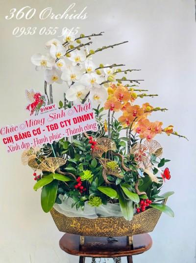 LHDKH - Nữ tướng tài hoa