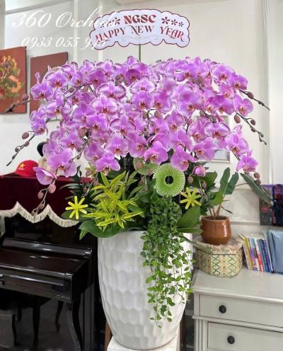 LHDT - Phú quý bình an