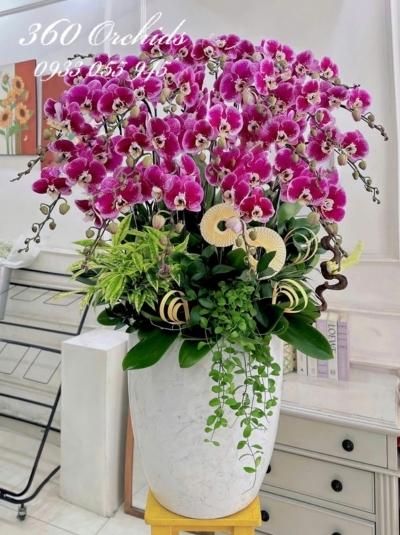 LHDT - Vạn phúc trường an