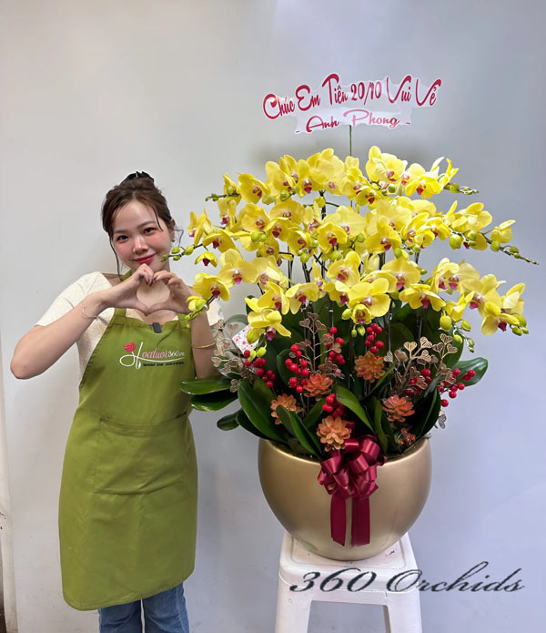hoalan360 - cửa hàng cung cấp dịch vụ hoa lan hồ điệp vàng tại tp.biên hòa - đồng nai