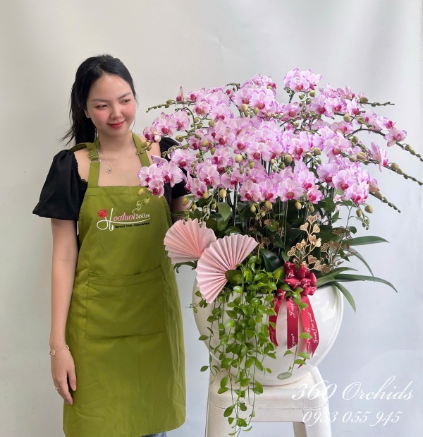 Chậu lan hồ điệp mini - Dáng ngọc thướt tha