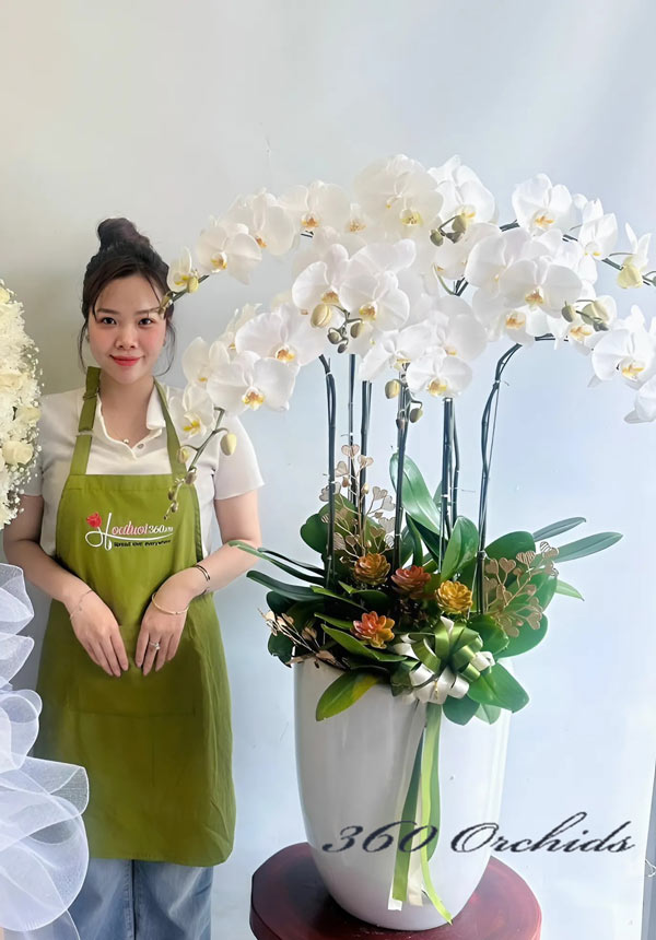 hoalan360 - dịch vụ cung cấp hoa lan hồ điệp tại  tp.biên hòa - đồng nai