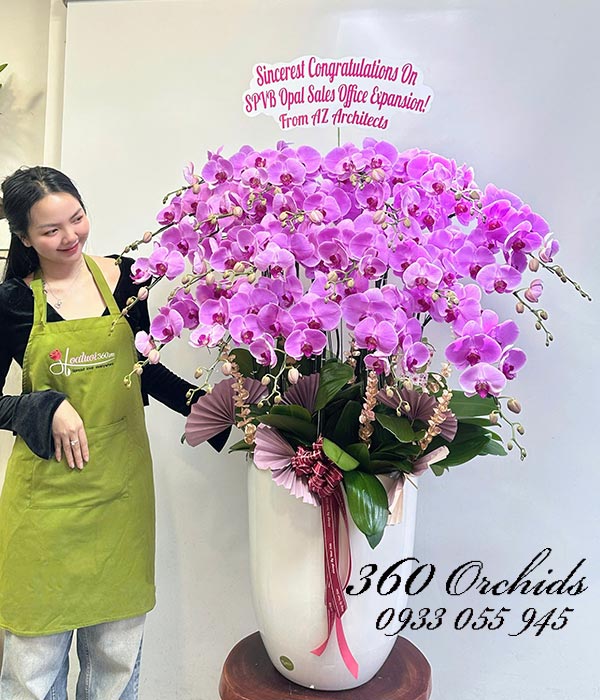 Chậu lan hồ điệp hồng - Lộc gói trong hoa