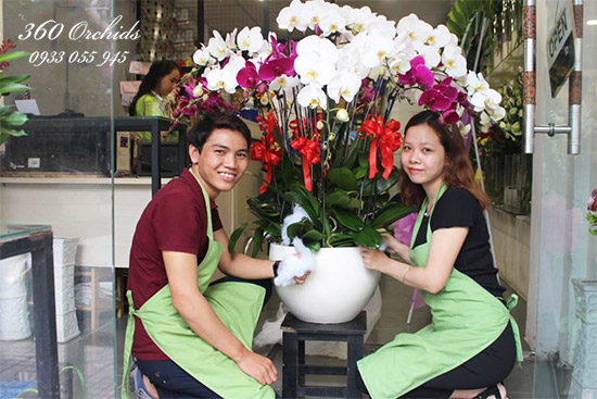 Quy trình làm việc tại cửa hàng hoa lan hồ điệp đường Lê Lai