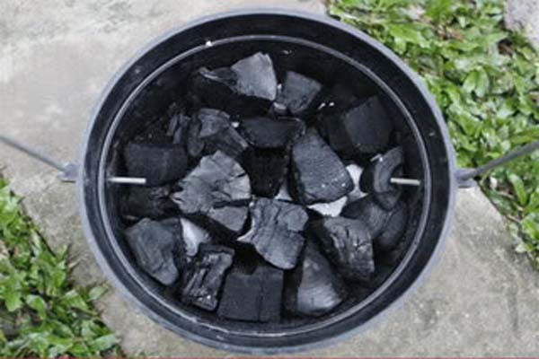 Bật mí cách trồng lan hồ điệp bằng than củi đơn giản tại nhà Trong-lan-ho-diep-bang-than-04