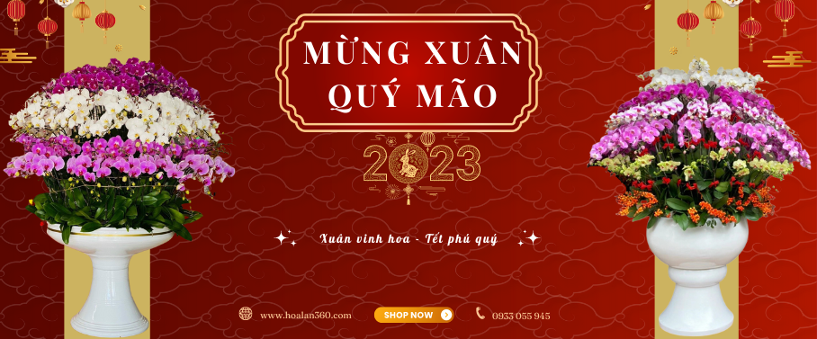 Banner Tết 2023 - Hoa Lan 360