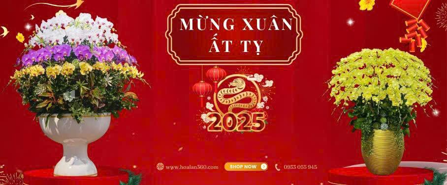 Banner Tết 2025 - Hoalan360