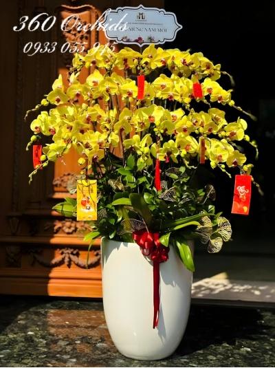 HDV - Cửa ngõ tài lộc