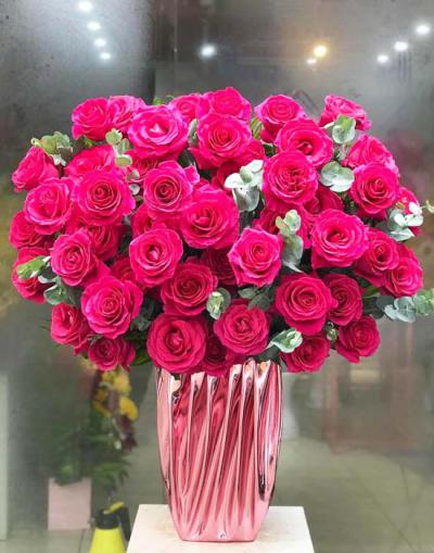 Hoa hồng Ecuador -  Tổng hợp những mẫu hoa hồng Ecuador ĐẸP nhất 