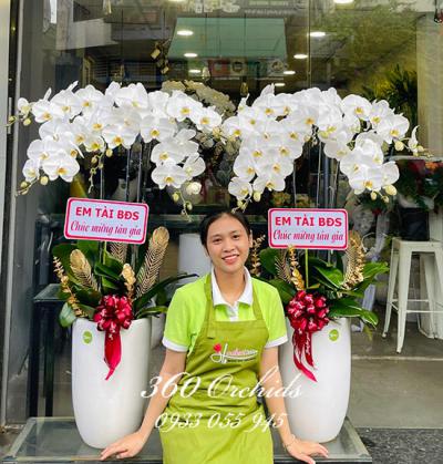 Hoa Lan 360 - Shop hoa lan hồ điệp sang trọng, cao cấp, chất lượng