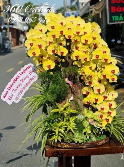 LHDGL - Khai xuân đại phát