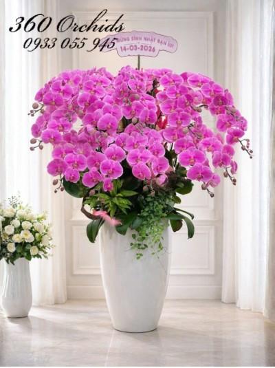 LHDH - Gửi trọn yêu thương