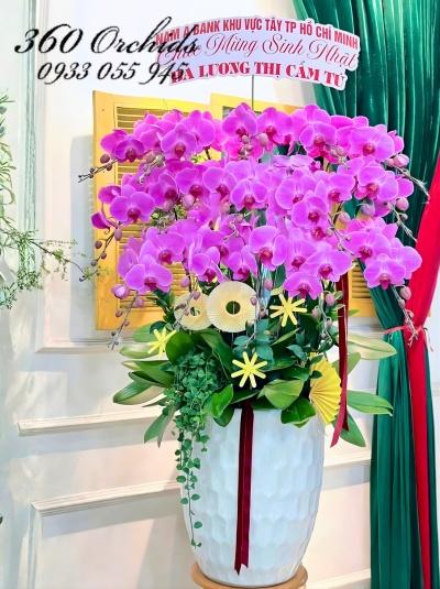 LHDH - Hợp tác vững bền