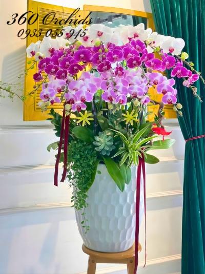 LHDKH - Vững bước thành công