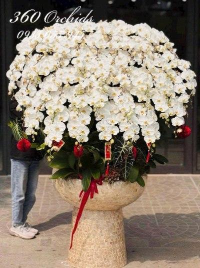 LHDT - Đại cát đại lợi