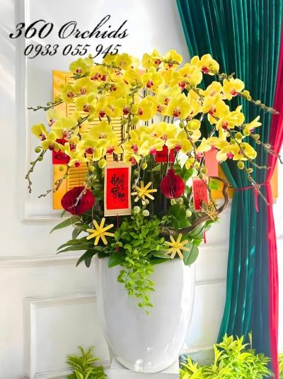 LHDT - Kim long xuân