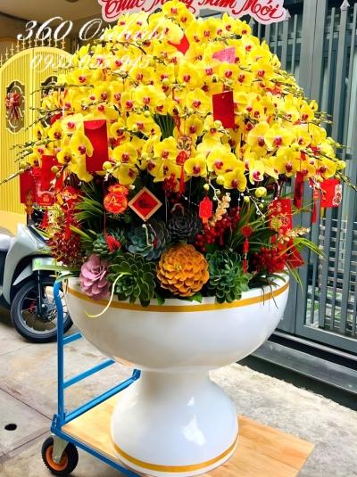 LHDT - Tết bạch lộc