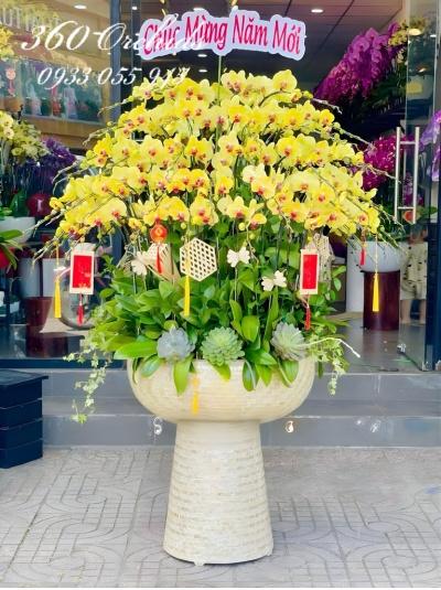 LHDV - Vạn phúc lâm môn