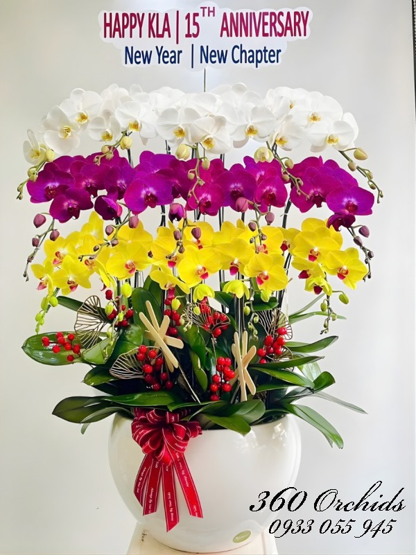 Chậu lan hồ điệp kết hợp 15 cành - Bậc thang danh vọng