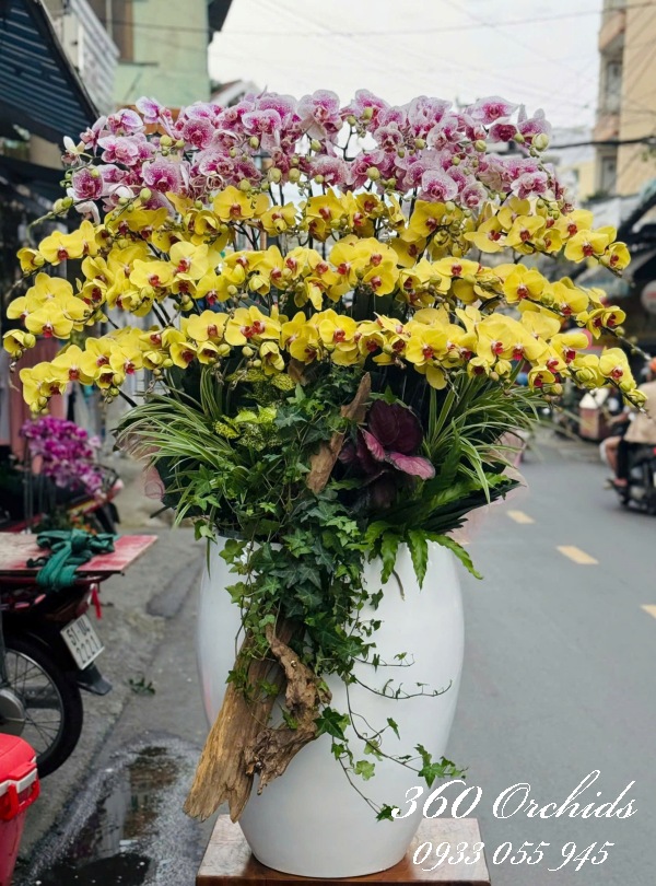 LHDKH - Bát phương phát tài