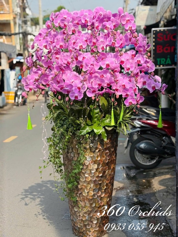 Chậu lan hồ điệp hồng 25 cành - Vạn lộc trường xuân