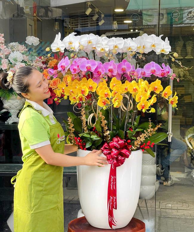 Chậu hoa lan hồ điệp tại của hàng hoa lan 360 Tân Bình
