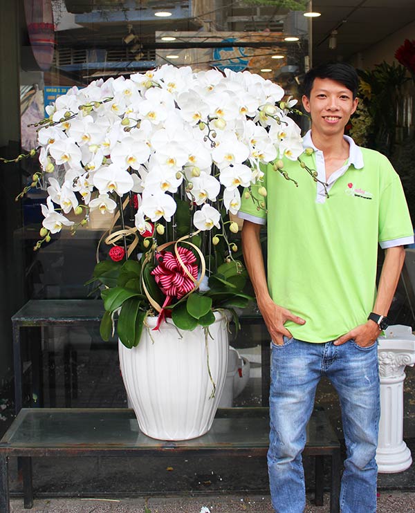 Chậu lan hồ điệp trắng đẹp sang trọng bán với giá sỉ rẻ nhất tại Sài Gòn