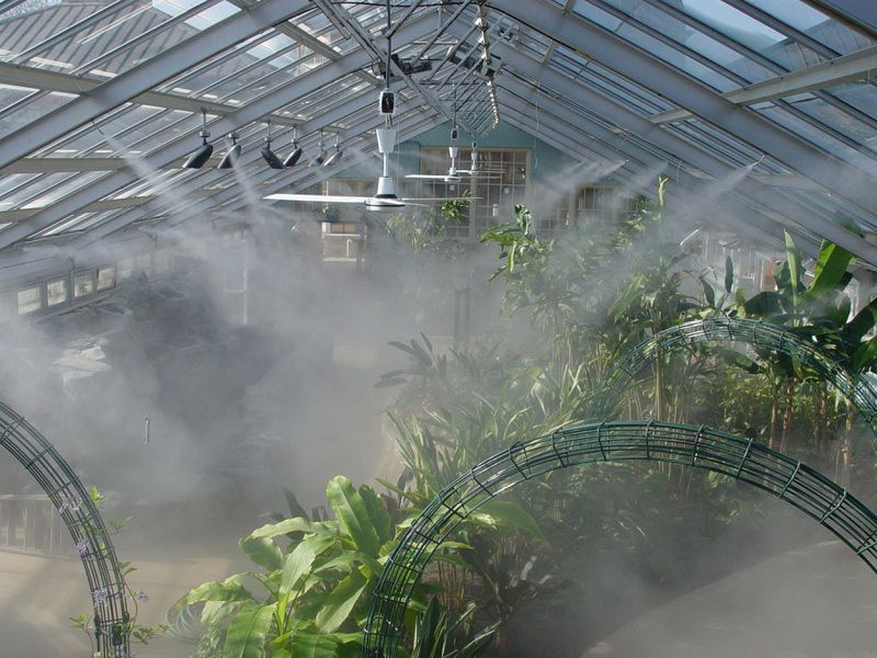 Cách tưới nước cho hoa lan hồ điệp bằng hệ thống phun sương