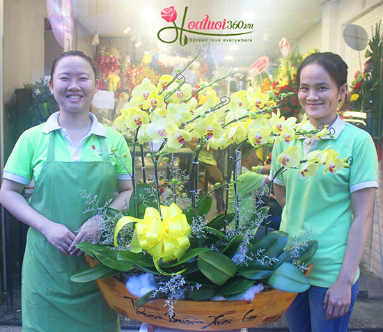 Mẫu hoa chủ đạo của shop Hoa Lan 360 là hoa lan hồ điệp giá trị nhất