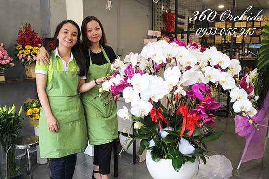Quy trình làm việc ở cửa hàng hoa lan hồ điệp đường Nguyễn Khắc Nhu