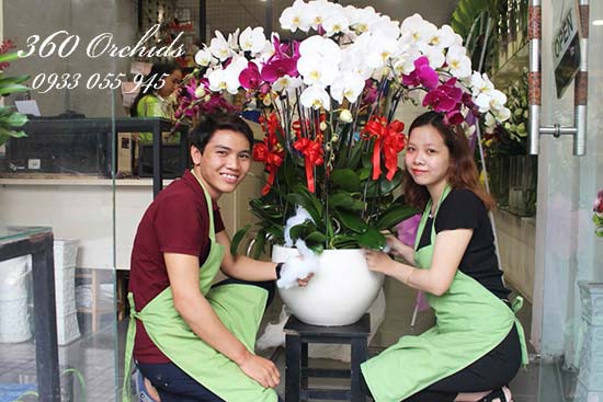 Mua hoa lan hồ điệp đường Nguyễn Khắc Nhu